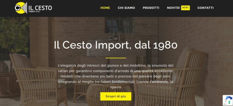 Portfolio sito web IlCesto Import screen anteprima hero section home